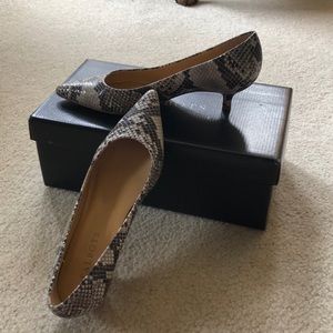 Snake Skin Kitten Heel.  Size 5 1/2